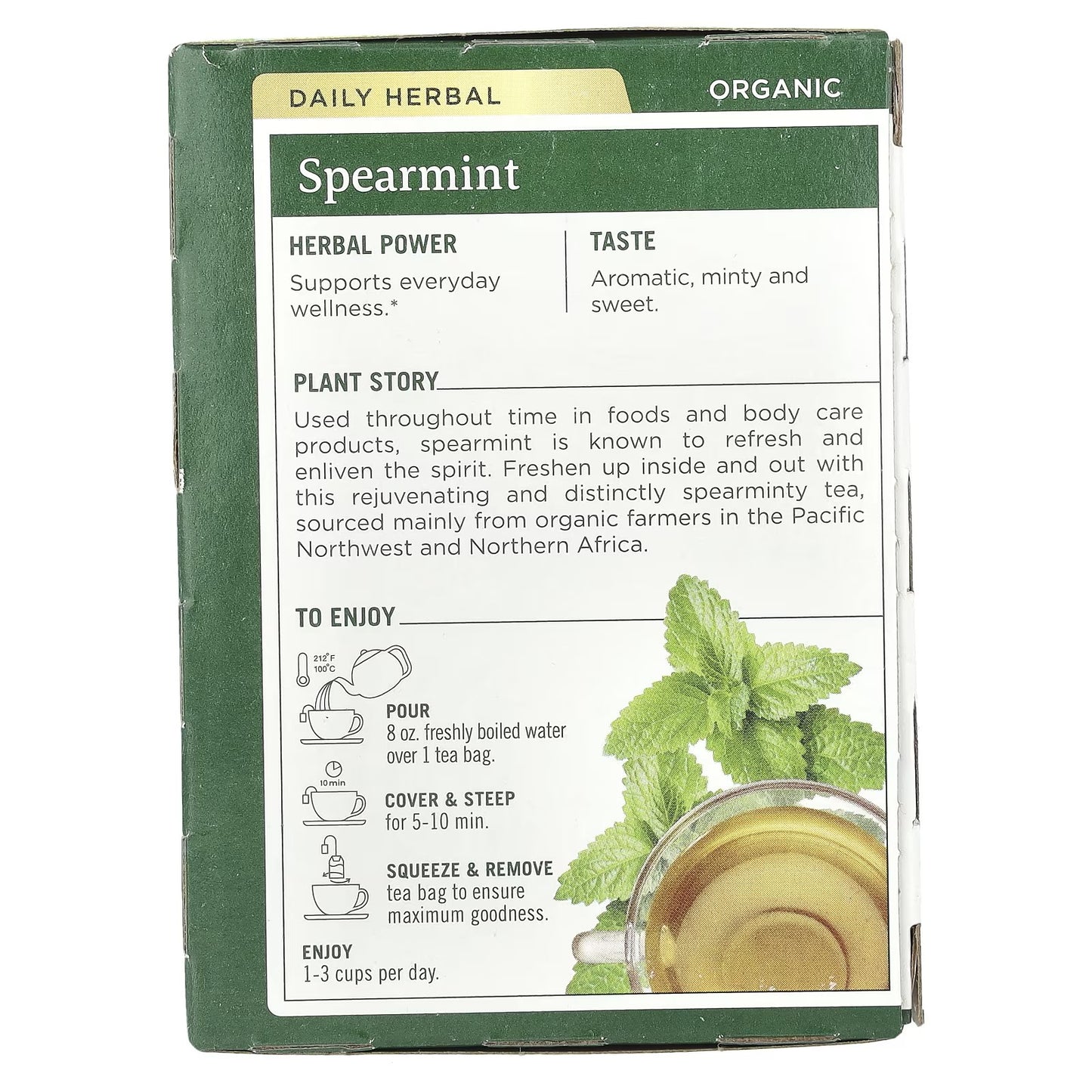 Traditional Medicinals, Organic Spearmint, Caffeine Free, 16 Wrapped Tea Bags, 0.85 oz (24 g)