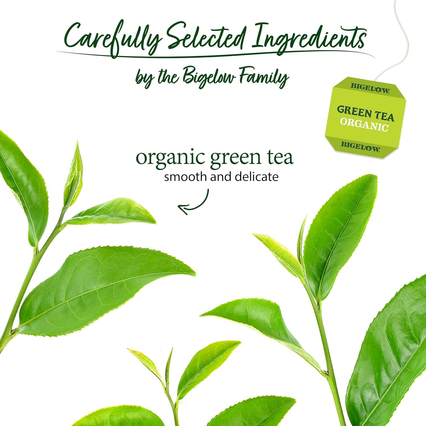 Bigelow Tea, Certified Organic Green Tea, 40 Tea Bags (51 g)