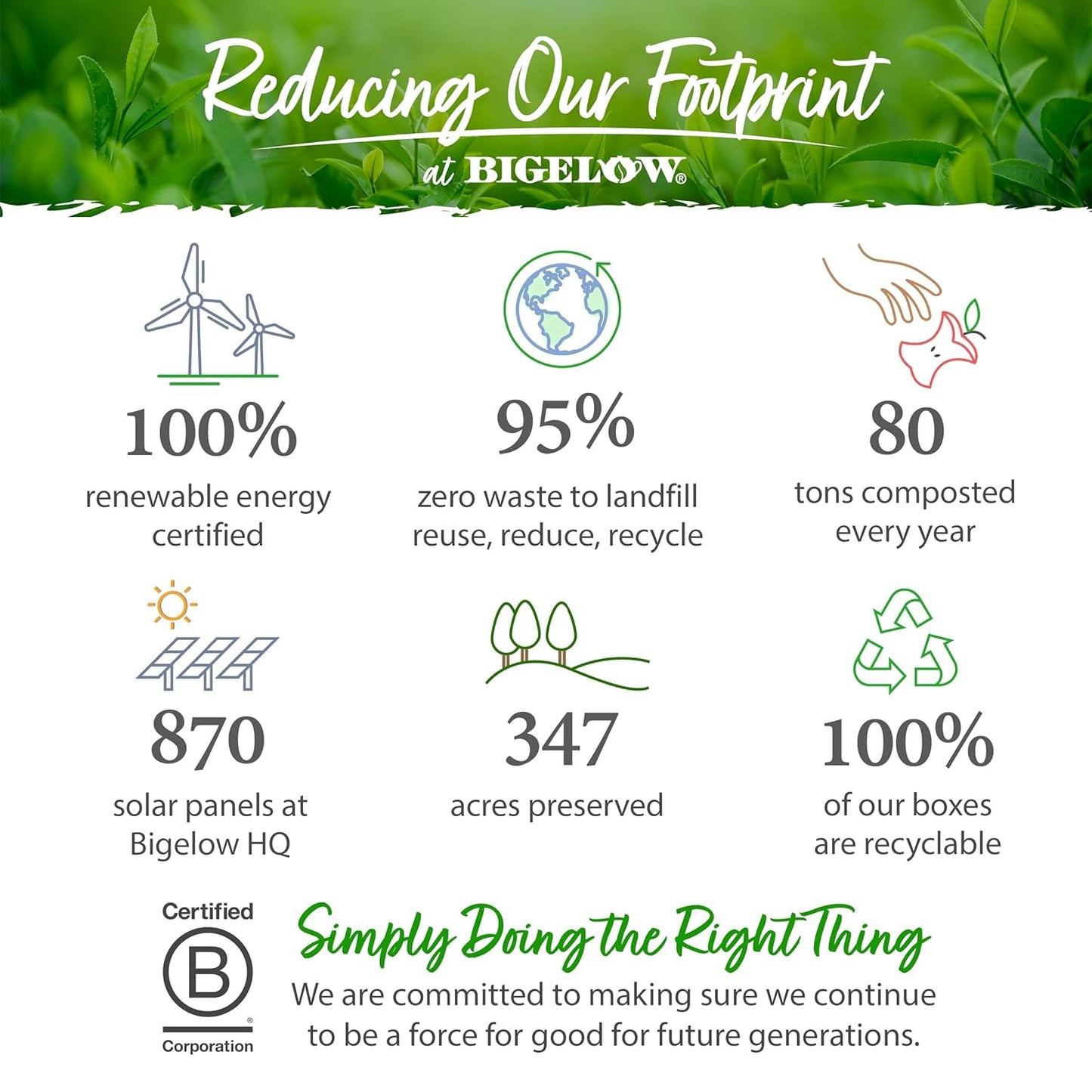 Bigelow Tea, Wellness Herbal Tea Collection, Caffeine Free, Variety Gift Box, 64 Tea Bags