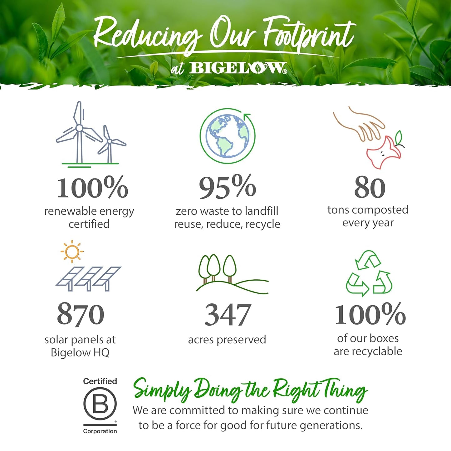 Bigelow Tea, Assortment, Green and Black and Herbal Teas, 64 Tea Bags