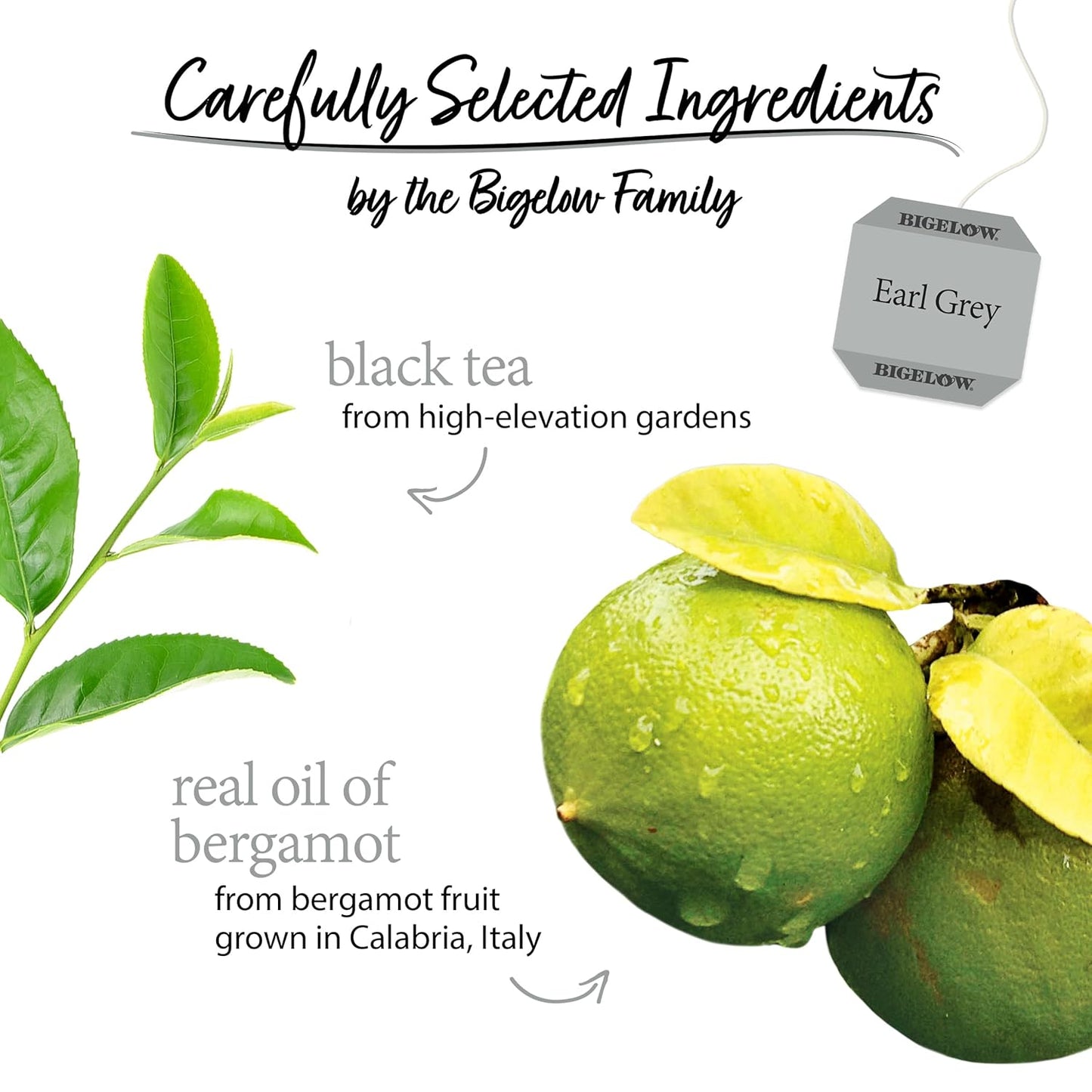 Bigelow Tea, Earl Grey Black Tea, 100 Tea Bags (168 g)