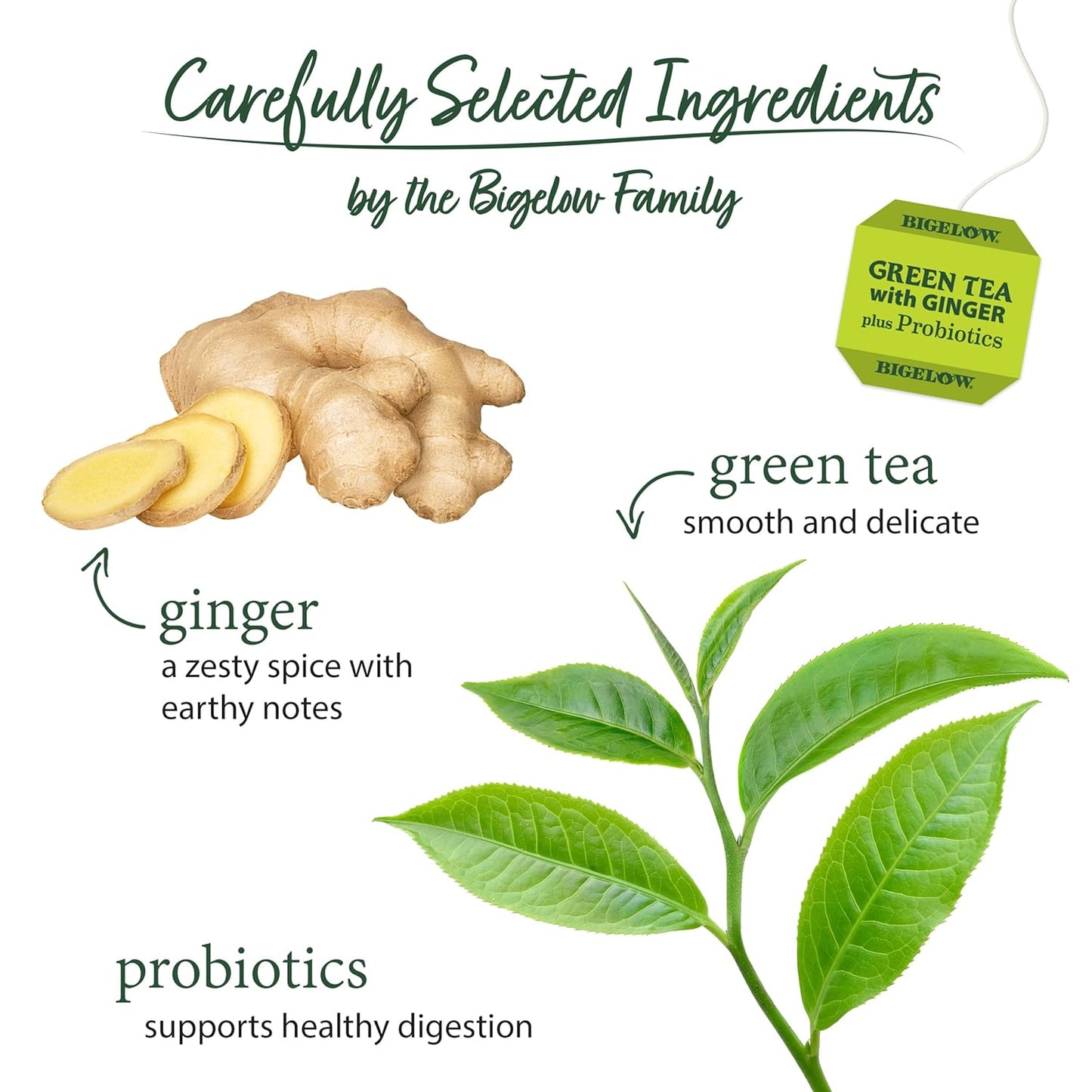 Bigelow Tea, Green Tea with Ginger Plus Probiotics, Caffeinated, 18 Tea Bags (25 g)