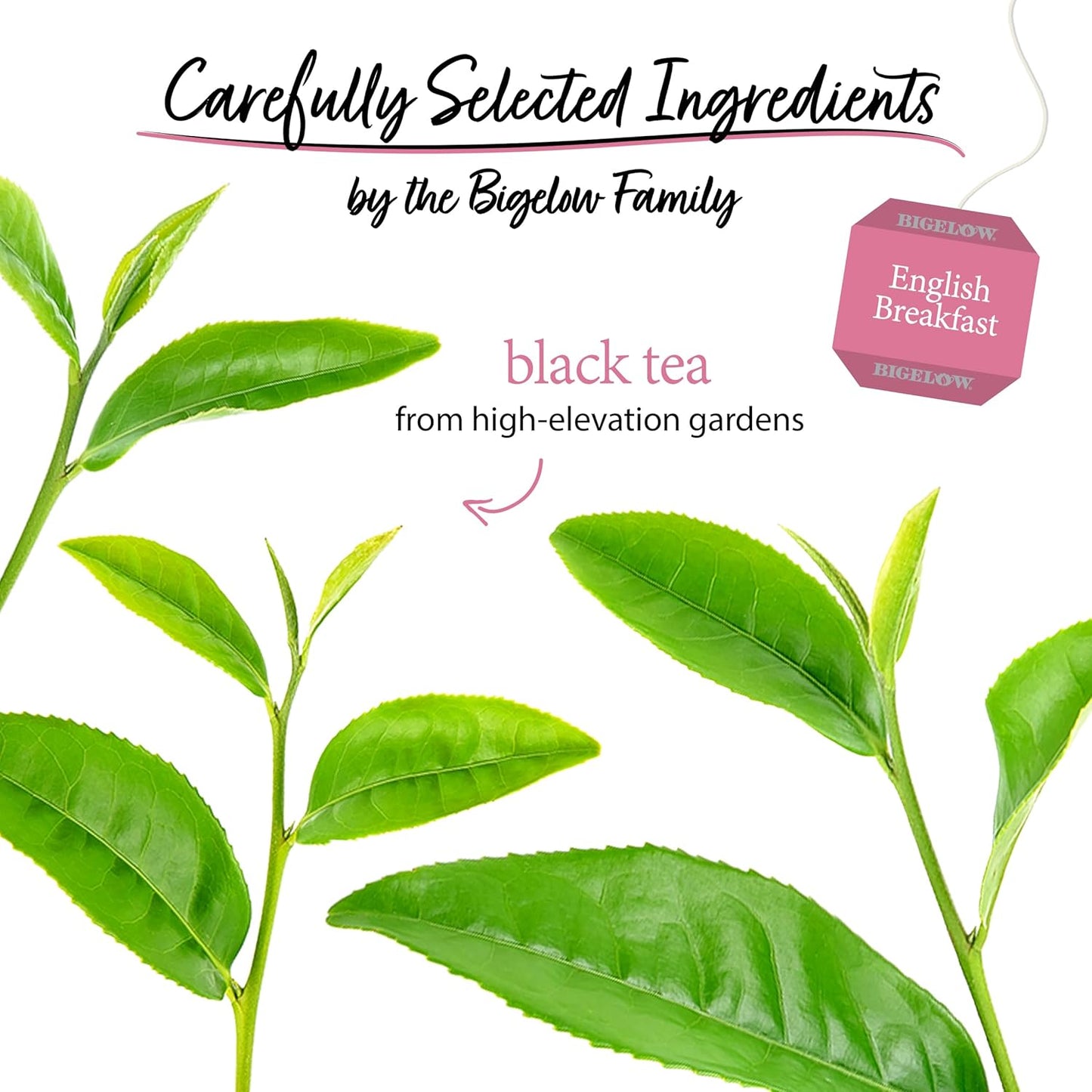 Bigelow Tea, English Breakfast Tea, Caffeinated, 20 Tea Bags (42 g)