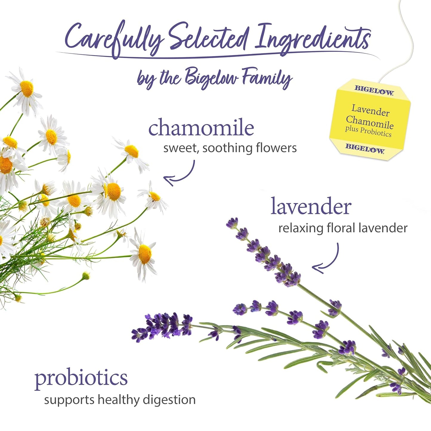Bigelow Tea, Lavender Chamomile Plus Probiotics Herbal Tea, Caffeine Free, 18 Tea Bags (27 g)