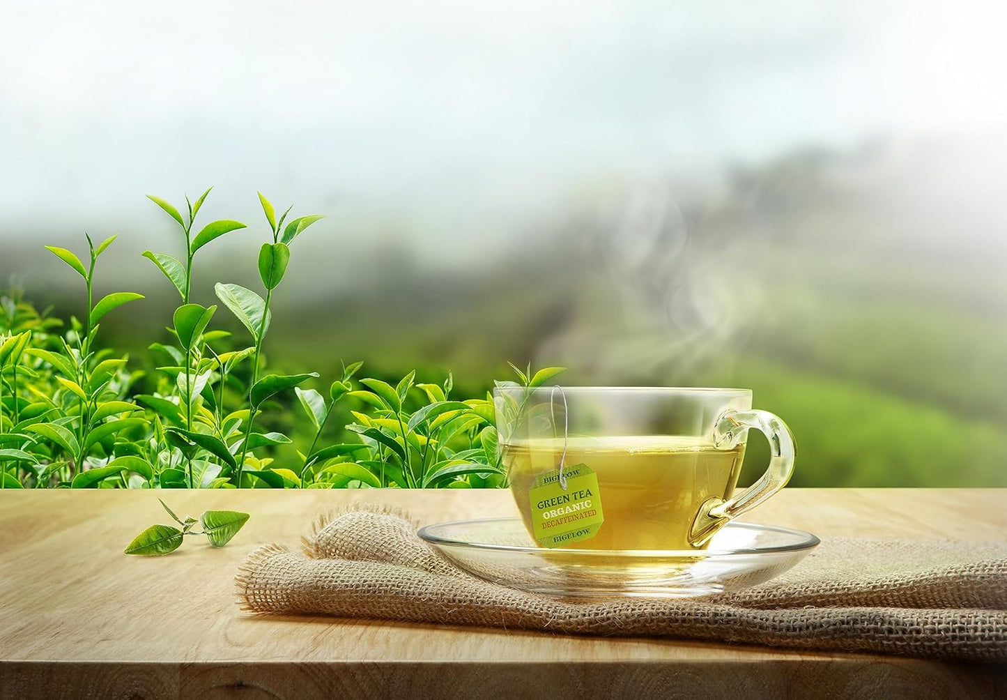 Bigelow Tea, Certified Organic Decaffeinated Green Tea, 40 Tea Bags (49 g)