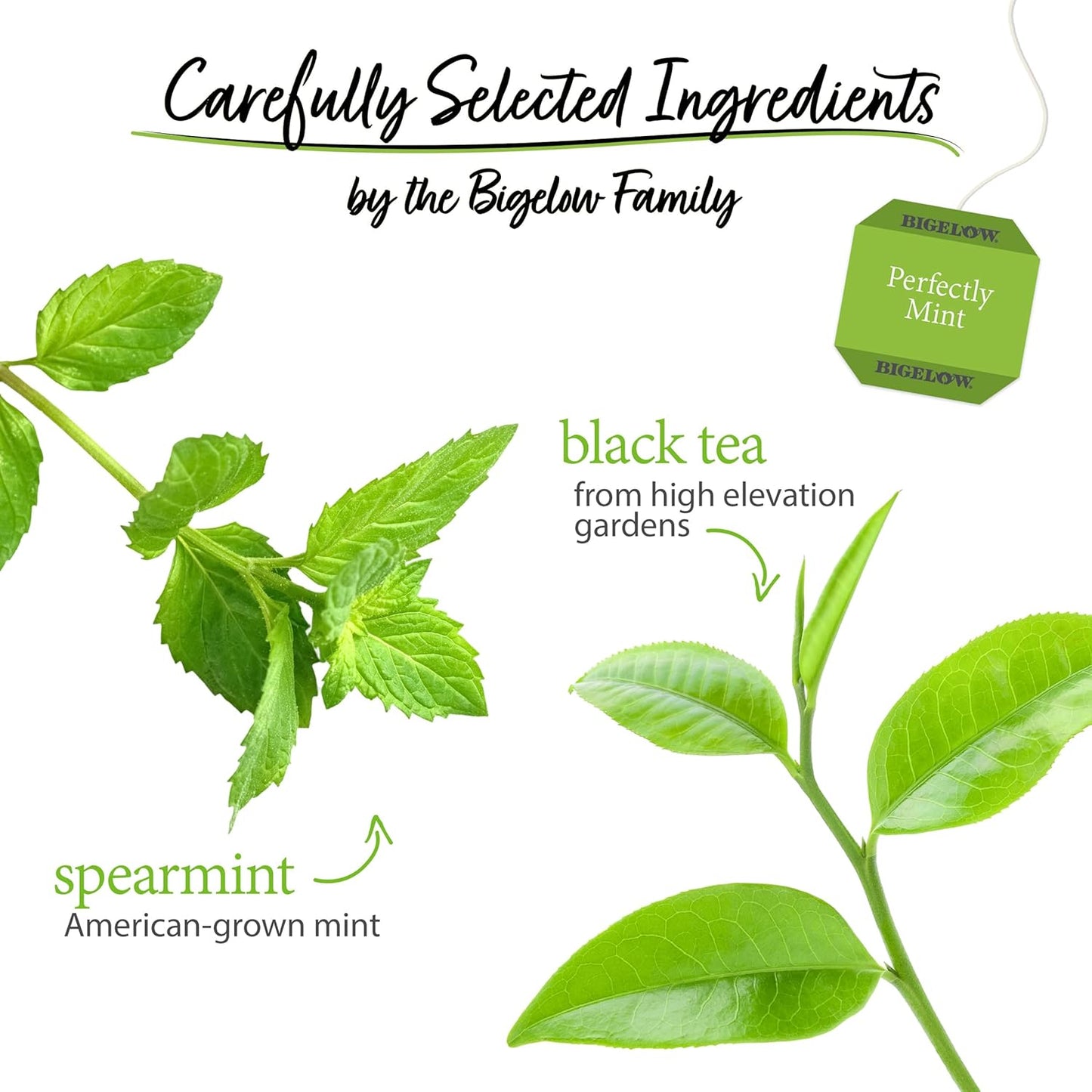 Bigelow Tea, Perfectly Mint Black Tea, 20 Tea Bags (33 g)