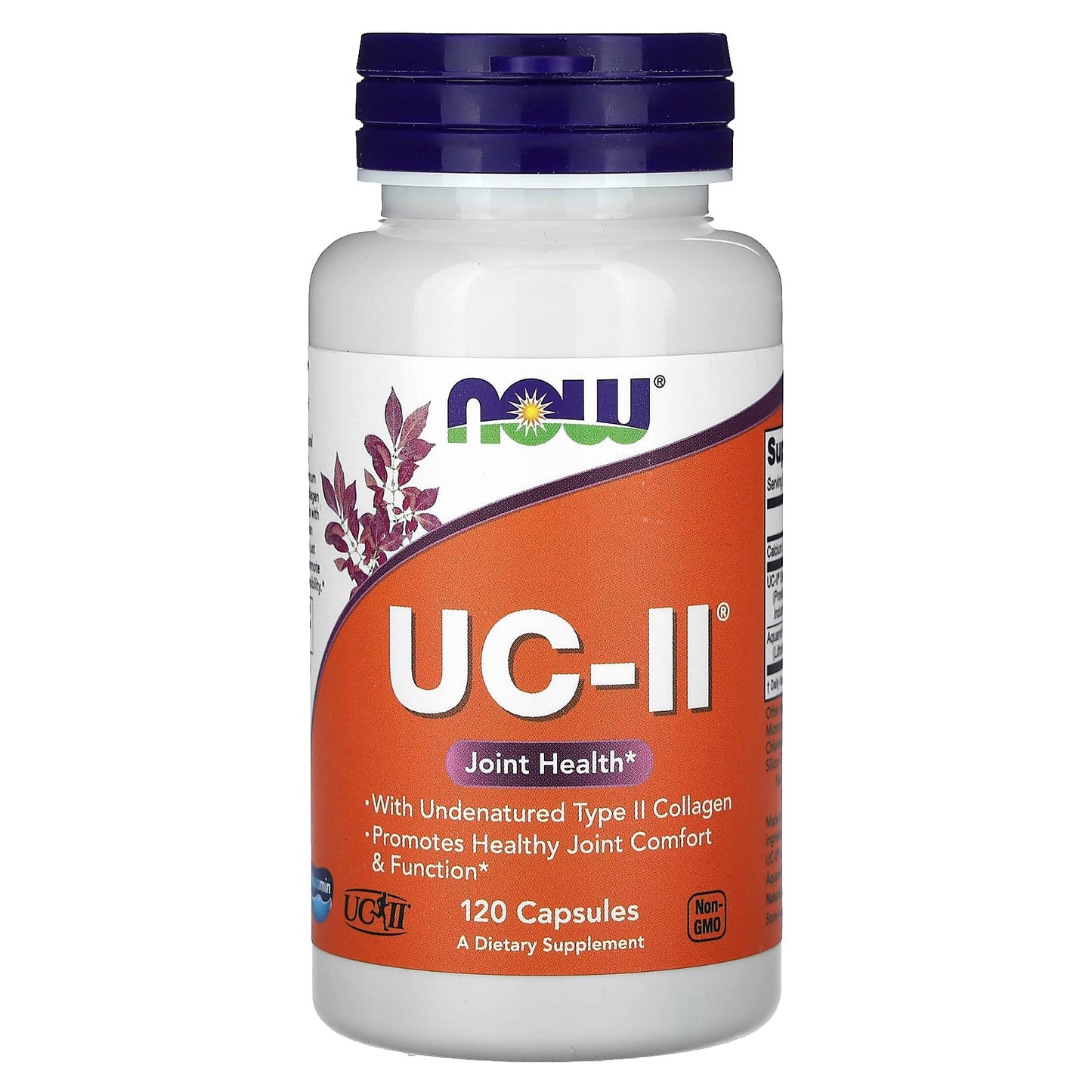 NOW Foods, UC-II® Joint Health with Undenatured Type II Collagen