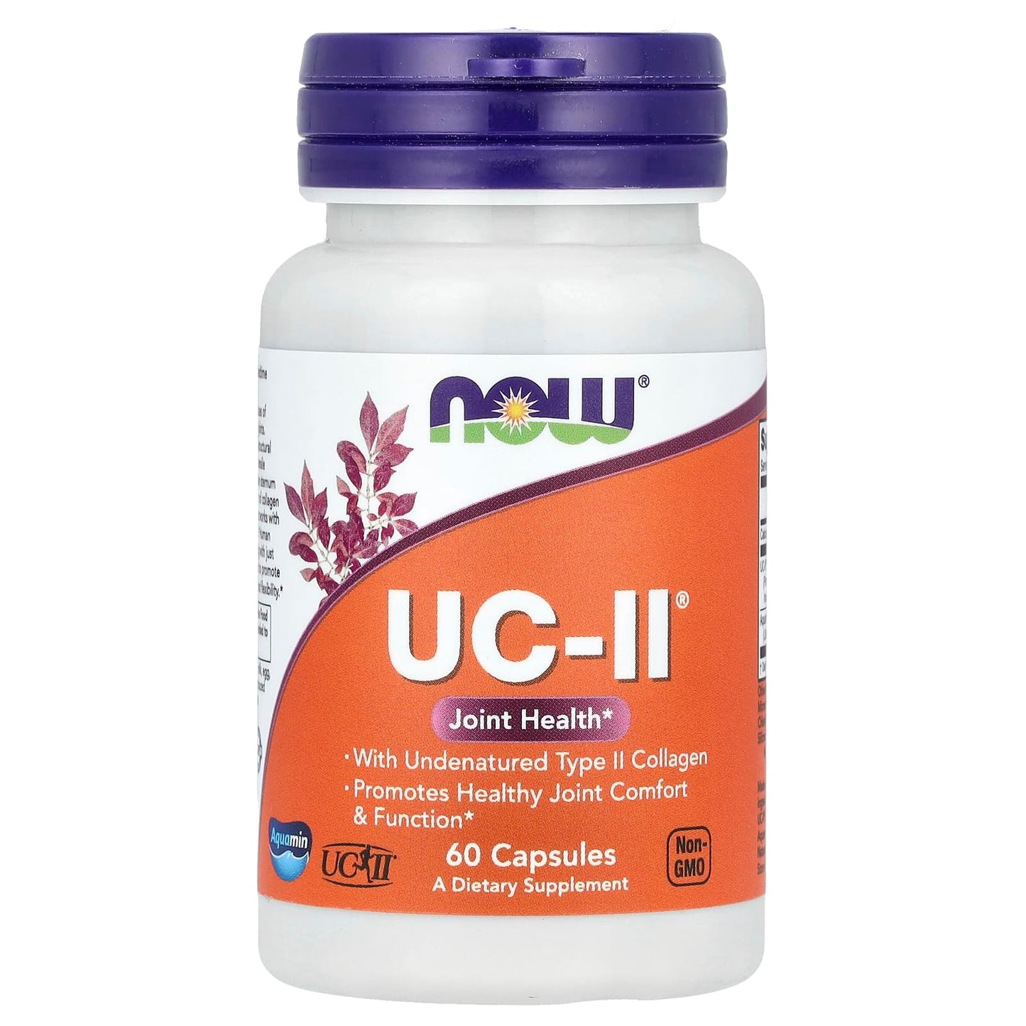 NOW Foods, UC-II® Joint Health with Undenatured Type II Collagen